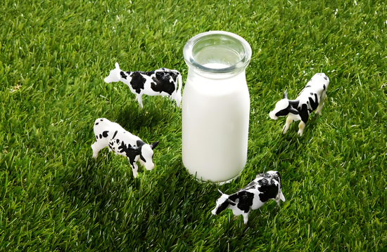 骑士乳业：业绩转亏仍下探存货创新高，负债率高位现金流恶化