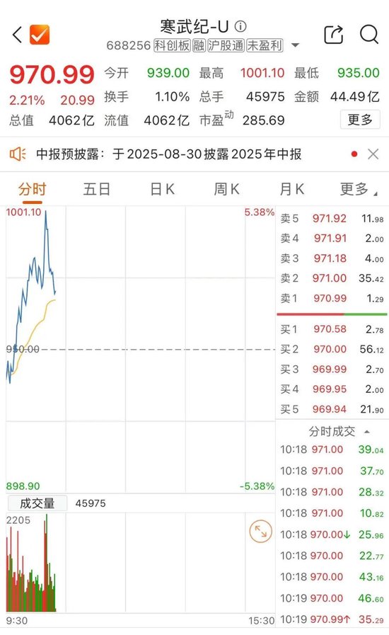 寒武纪（688256），盘中涨破千元大关