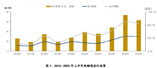远东资信：熊猫债市场2025年上半年回顾及下半年展望